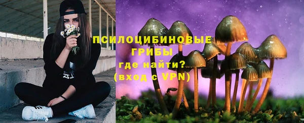 альфа пвп Медногорск