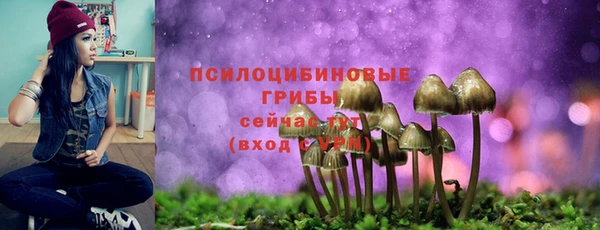 альфа пвп Медногорск
