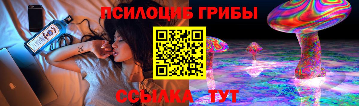 Псилоцибиновые грибы Cubensis Ливны