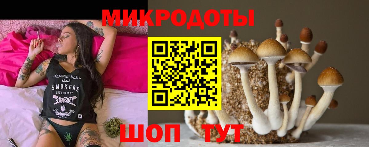 Псилоцибиновые грибы Psilocybine cubensis  Псилоцибиновые грибы мицелий  Ливны  Вход с VPN 